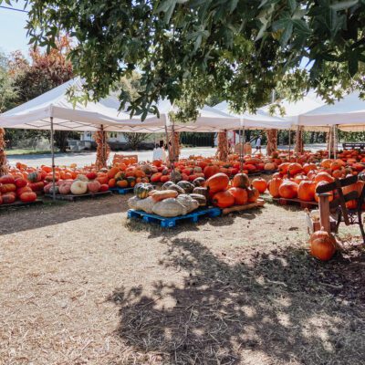 Nashville Guide – Our Favorite Easy Place to Get Pumpkins