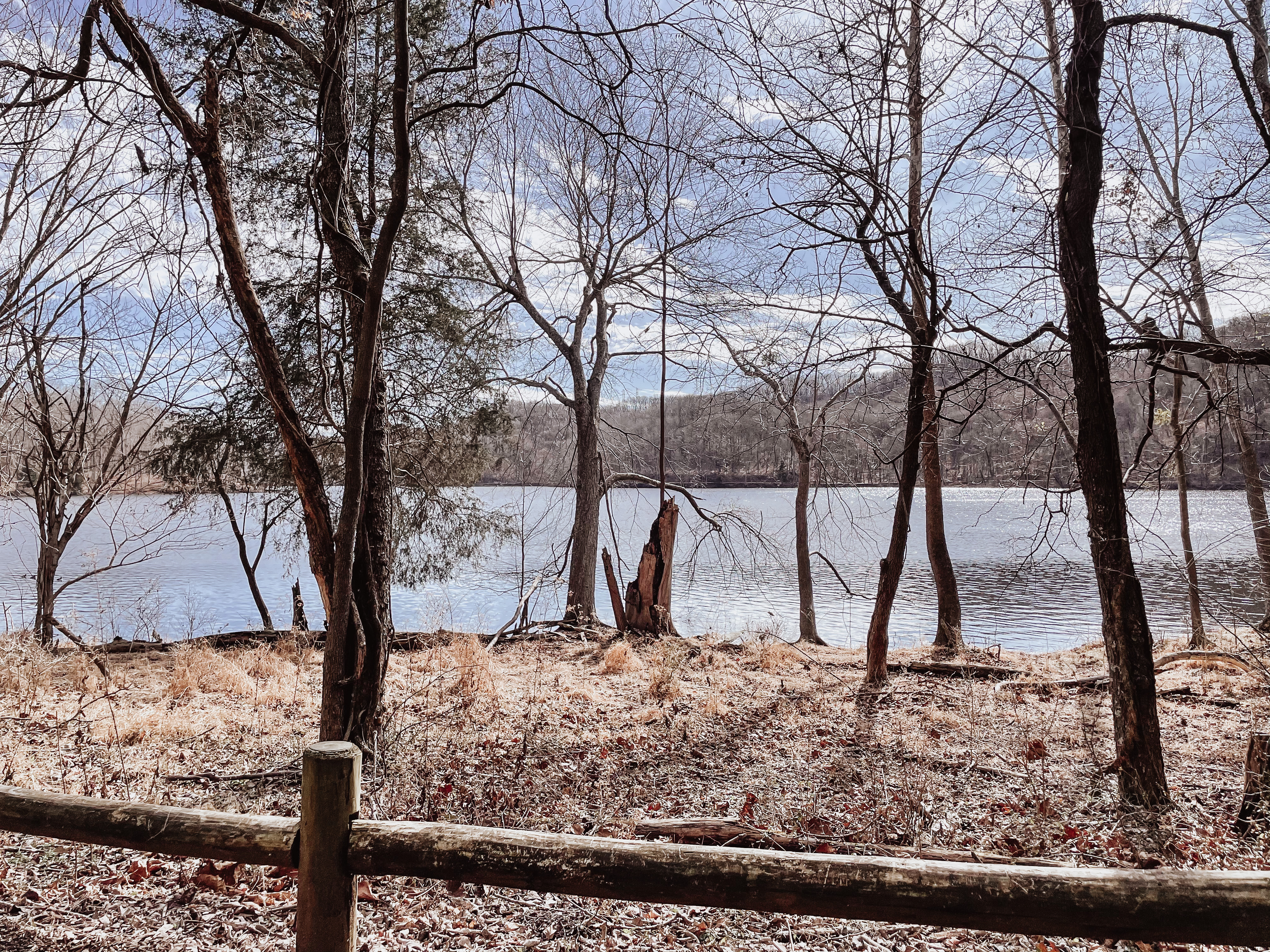 Nashville Guide | Radnor Lake- A Fun, Easy Family Hike